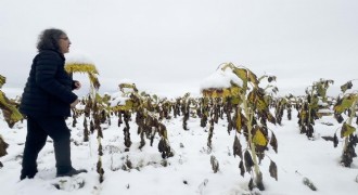 Kavukcu’dan 'ego'  performansı